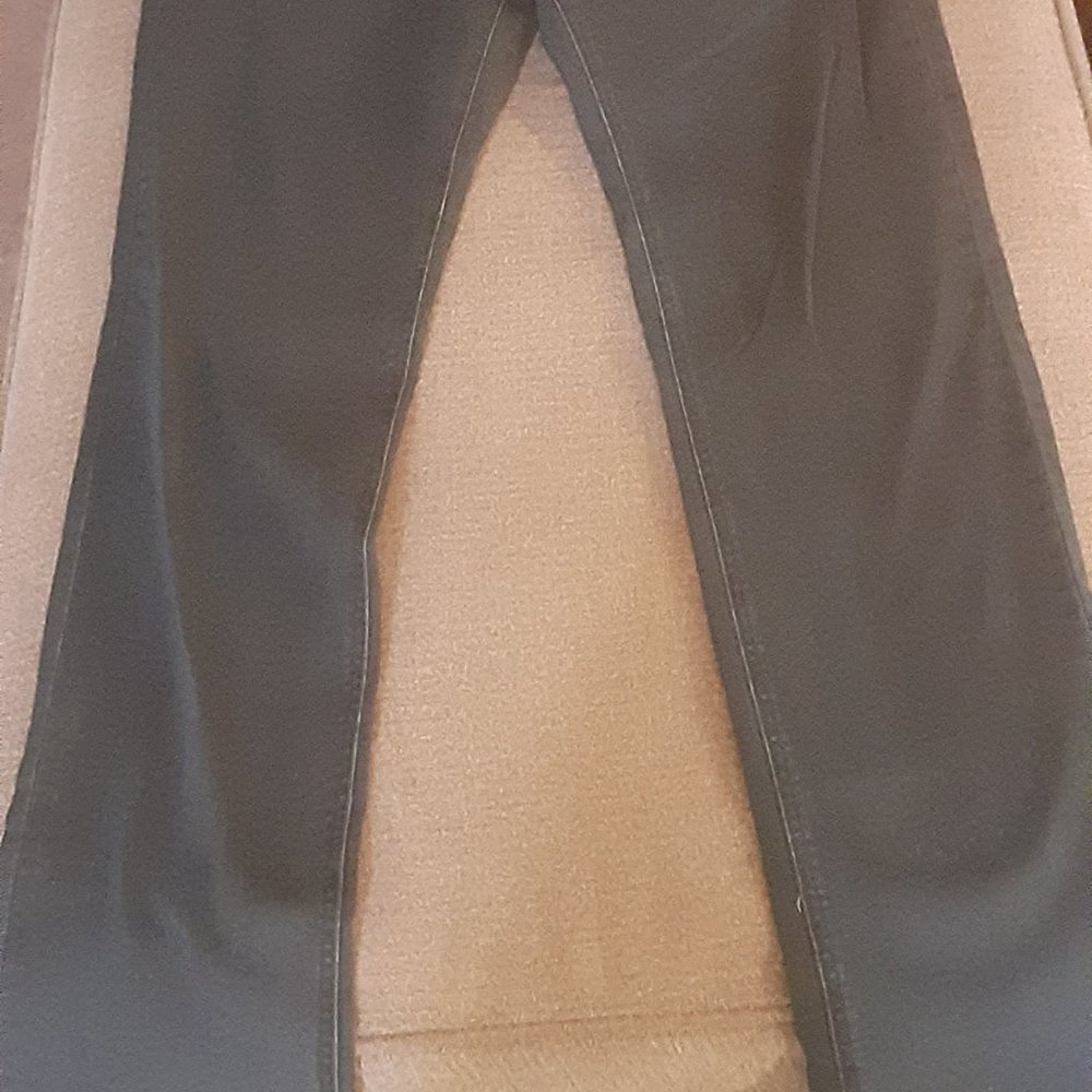 nasty pig denim pants